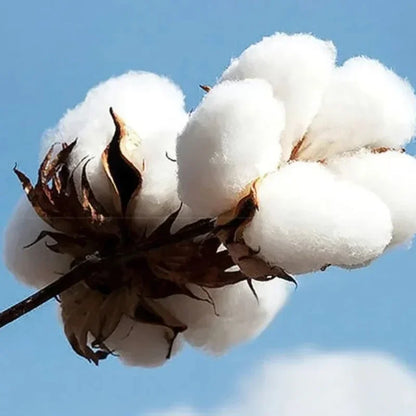 2025 Summe JEEP Cool Casual Sports T-shirt